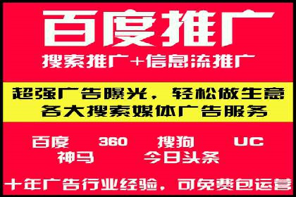 竞价推广中的着陆页策略：成功案例解读